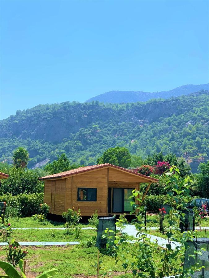 Lemon Garden Lodge Çıralı Exterior foto