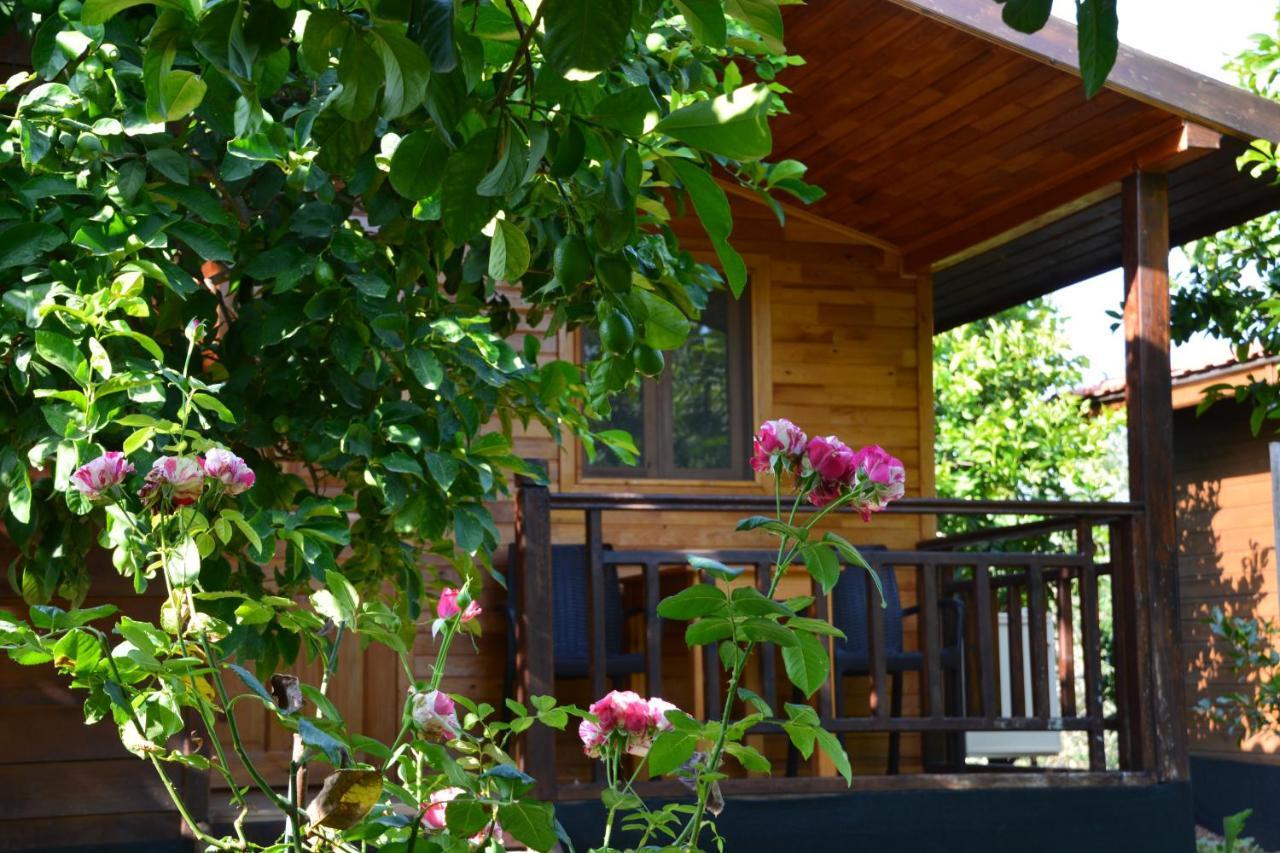 Lemon Garden Lodge Çıralı Exterior foto