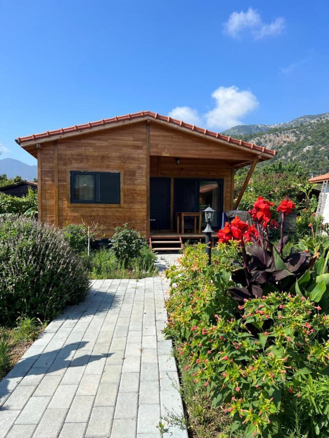 Lemon Garden Lodge Çıralı Exterior foto